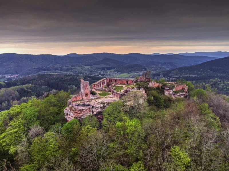 christian-fernandez-gamio